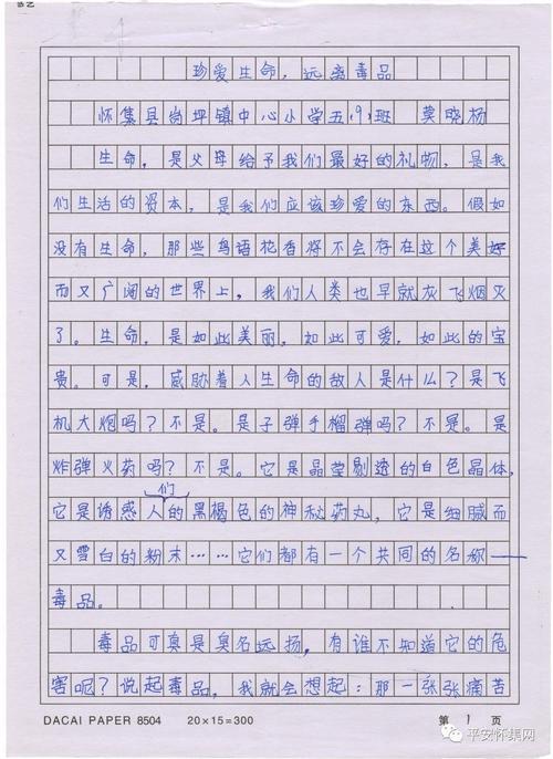 [11月论文]游戏_450字
