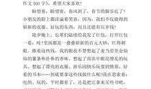 高二期末考试作文;压岁钱_750字