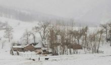 冬天，我们在想_600字