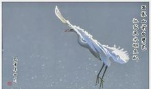 关于鸟的作文：笨鸟先飞_550字