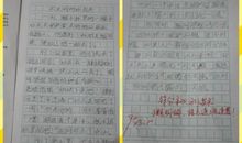 关于校园运动会的作文