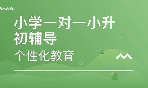 [小升初征文]小学时代的情感_700字