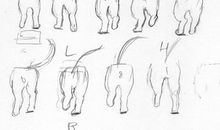 结尾留人回味的艺术_3000字