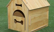 我的“狗窝”_700字