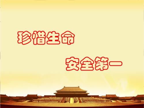 珍惜生命_700字