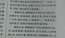 [PK赛]关于运动会的作文：催人泪下的运动会_1000字