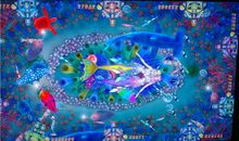 记一次捕鱼_2000字