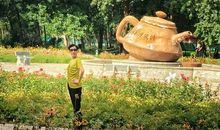 唯有您，永世难忘_650字