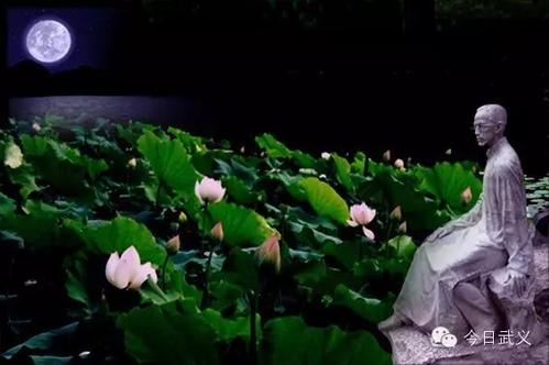朱自清荷塘月色残片_750字