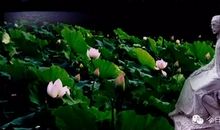 朱自清《荷塘月色》片段_750字