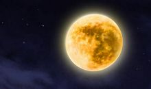 放学快镜头_250字