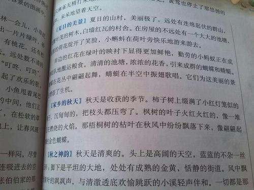 一段优美的段落描述“秋天” _350个单词