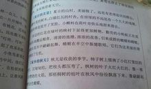 描写“秋天”的优美段落_350字