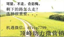 抬头，微笑_250字