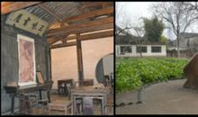 鲁迅《从百草园到三味书屋》片段_300字