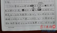 2006年四川高考满分作文：充实？强韧_1200字