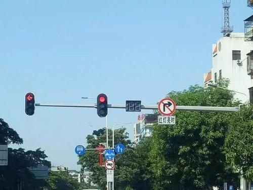 红灯亮，我该怎么办？_900字