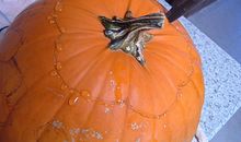 南瓜灯的制作--“小牡羊&Hello Kitty”南瓜灯_100字