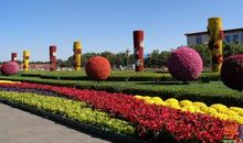 校园的花坛_250字