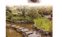 梦之岛―心灵的波澜_2000字