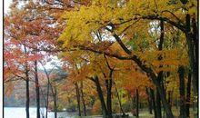 过完这一季,悲伤是否还是那么凉_1200字