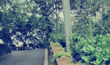 怀念盛夏中的毕业季_700字