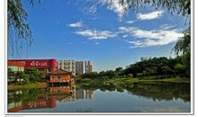 我爱大自然_250字