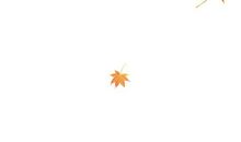 秋天的落叶_700字