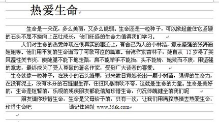 [PK赛]关于人生的构图：读完《爱情人生》 _1200字