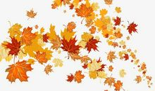 秋天的落叶_550字