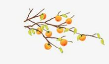 秋天的落叶_750字