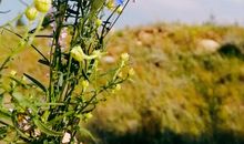 [春天来了]一路向阳_1200字