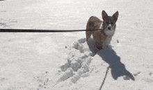 每一位老师都有一颗美之心_1200字