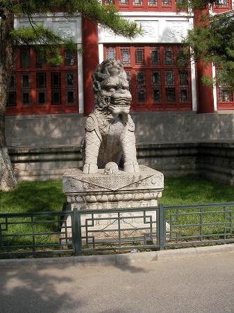 北京大学前保安写的北京高考作文：如果心脏不变，距离不远_1500字