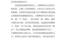 关于外婆的作文：《外婆家的石桥》读后感_900字