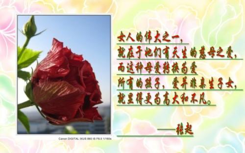 关于时间和节日的名言选_550字