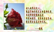 关于时日节日名言名句精选_550字