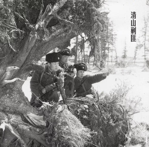 历经风雨_700字