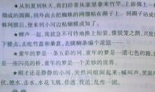 关于我的家乡的作文：我的家乡在酒泉_350字