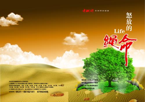 [PK赛]关于人生的构图：我要绽放人生_750字