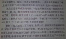 关于我的家乡的作文：我的家乡_750字