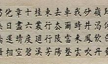 白鹅_150字