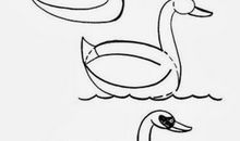 可爱的大白鹅_250字