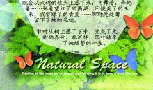 骄傲的大白鹅_350字