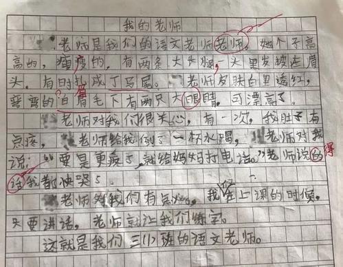 关于我的家乡的成分：我的家乡_800个单词