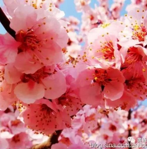 让音乐变色寂寞_250个单词