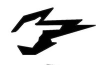 初中生抒情作文：闪电_450字