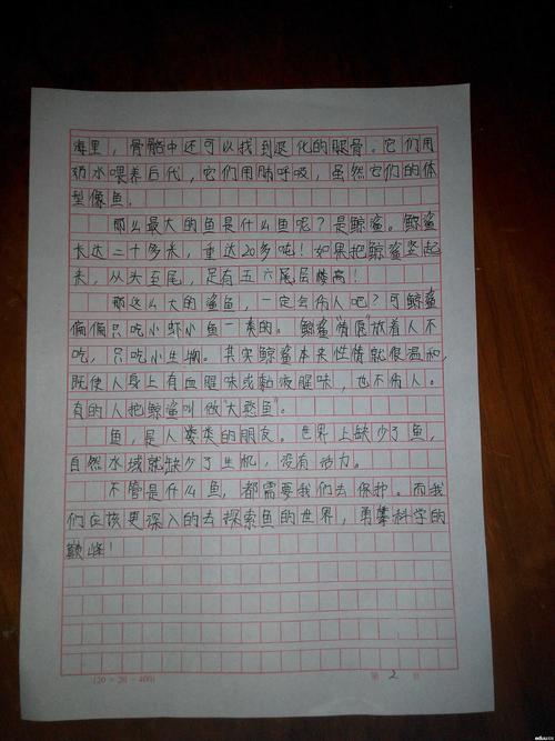 [小升初征文]小生初秘方1500字