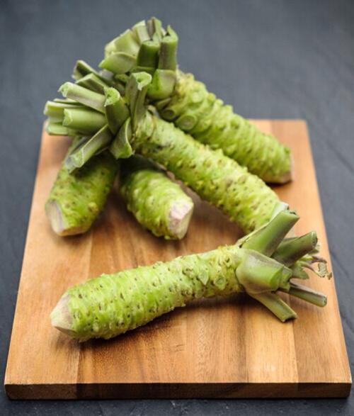 芥末味是乡愁_600字