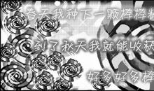 [小升初征文]我与死党，未完待续_800字